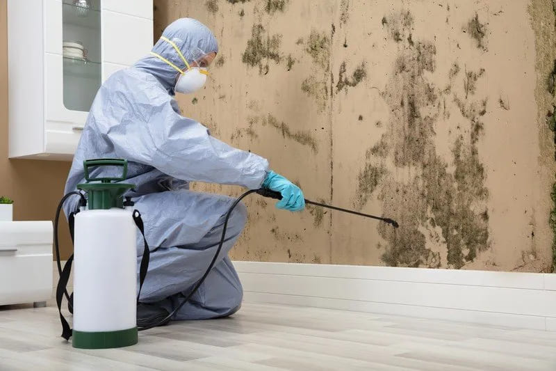 Man in suite spraying image